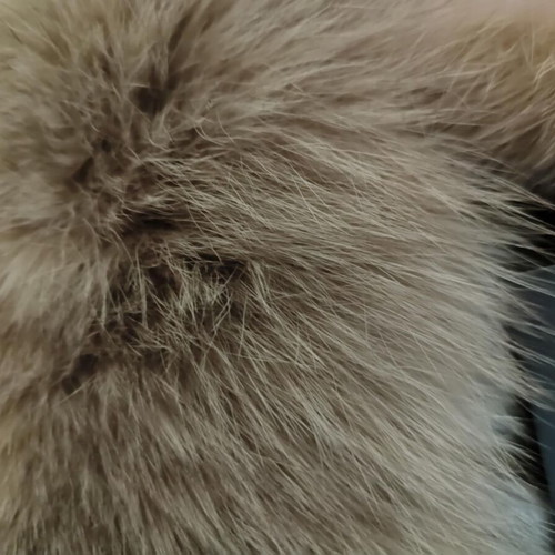 Fur collar new Marco Gianotti, dyed fox fur, 15 x 90 cm