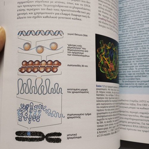 Synthetic Biology Basic Principles book like new, Greek