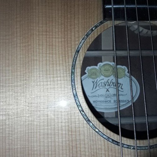 Washburn Electroacoustic Full Solid Guitar with Fisman Preamp and Microphone