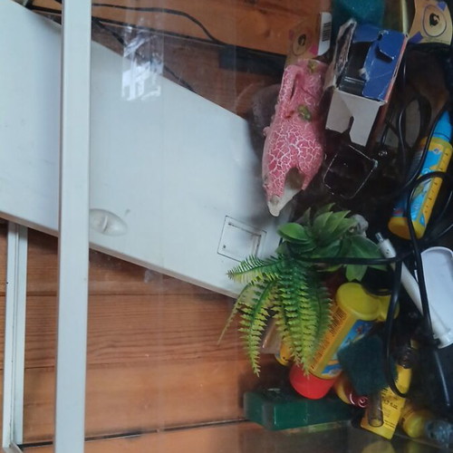 Aquarium like new with filter and decorations