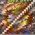  Spawn Comic Τεύχος 41 (1992) Todd McFarlane