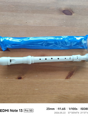 Flute like new, plays normally