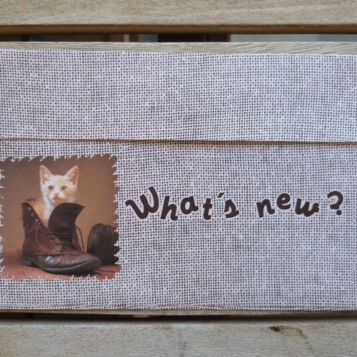 Letter set and envelope with kitten in shoe used