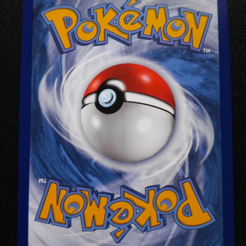 Pokemon Eevee VMAX SWSH 087 Black Star Promos card new