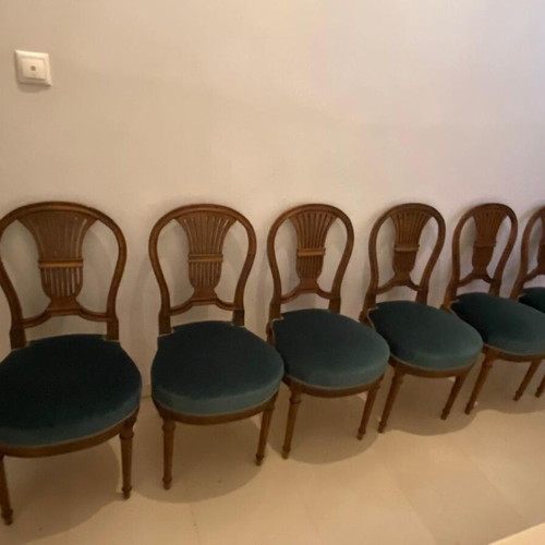 Classic wooden Louis XVI chairs set of 6, like new with velvet seat