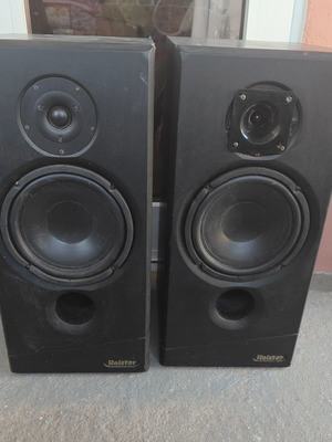 Roister Silk 100 floorstanding speakers used, 100 W RMS per channel