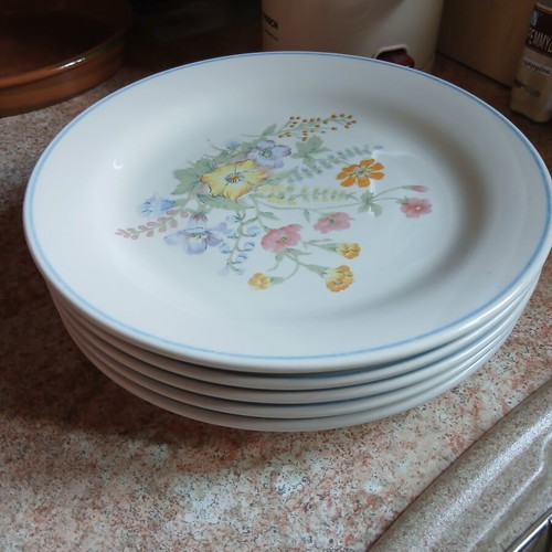 JUNG ceramic plates set used, pack of 12, Blooming series
