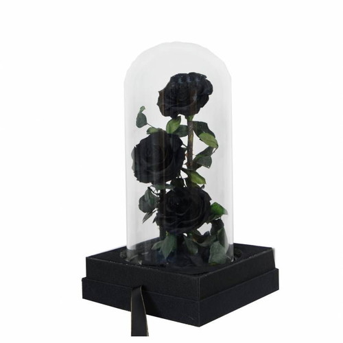 Forever Roses 3 Black 32cm Preserved Love Roses in Glass Dome New