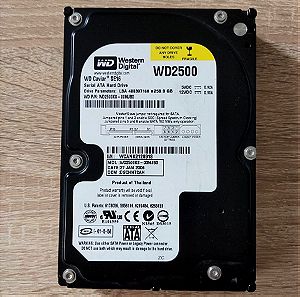 WD HD 250GB (WD-WCANK2128918)