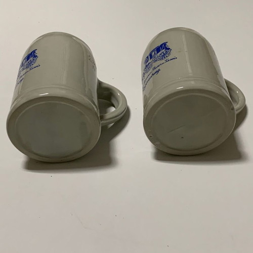 Thurn u. Taxis collectible beer mugs 0.25 l new, set of 2