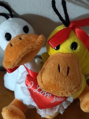 Λούτρινα παπάκια Αγίου Βαλεντίνου Ν.3 καινούργια ενωμένα