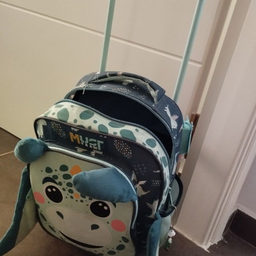 Toddler trolley bag used with minor side wear