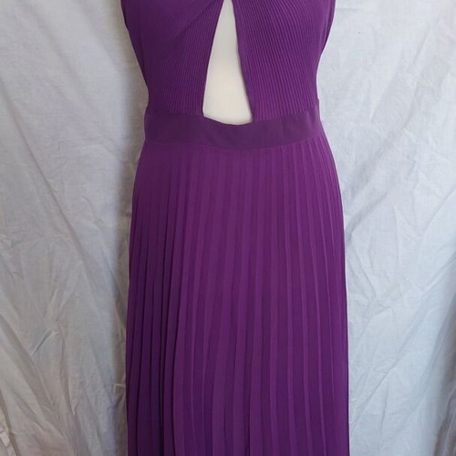 Zara purple long backless dress new, size M