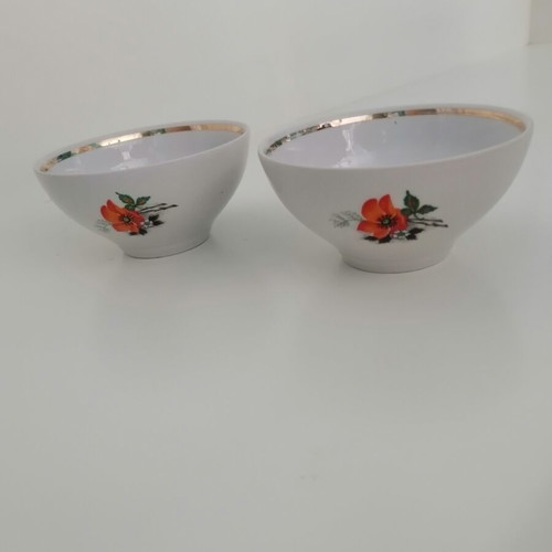 Porcelain bowls vintage set of two with floral pattern, like new
