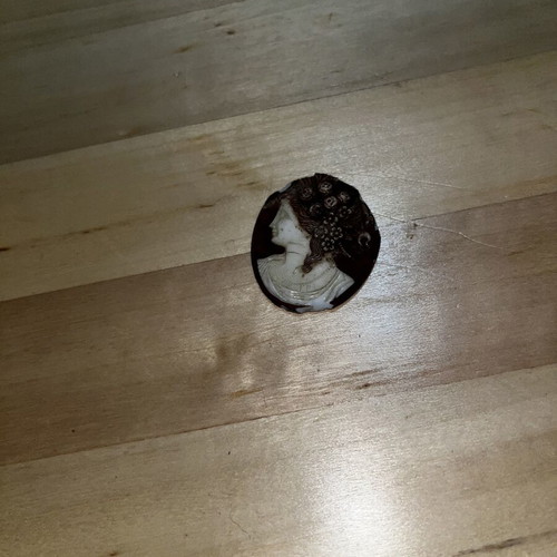 Cameo used with minor damage, no metal frame