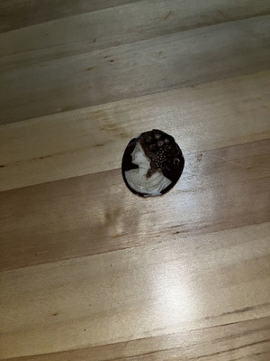 Cameo used with minor damage, no metal frame