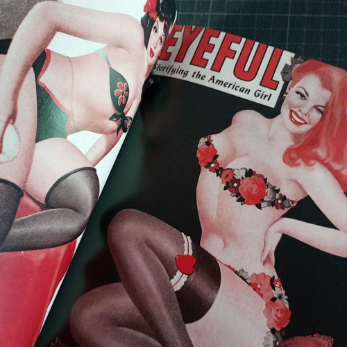 1000 Pin-Up Girls Taschen art book used