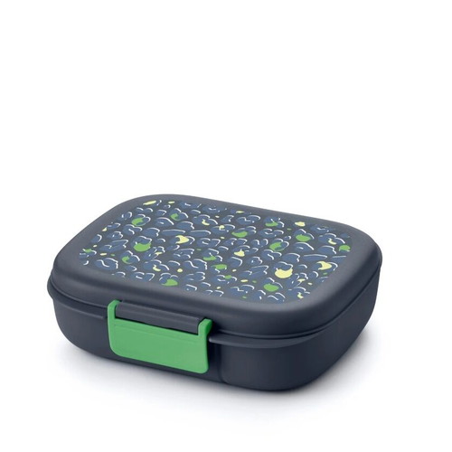 Eco+ Tupperware container with divider new