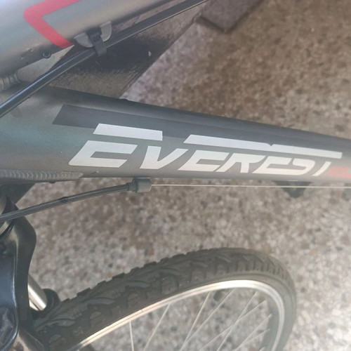 Everest 24'' Racing Bicycle new, 21-speed, black