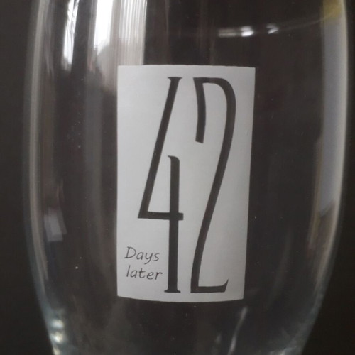 Craft Beer Glass "42 days later" like new