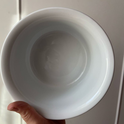 Vintage Pillivuyt France Tukan Porcelain Bowl mint condition