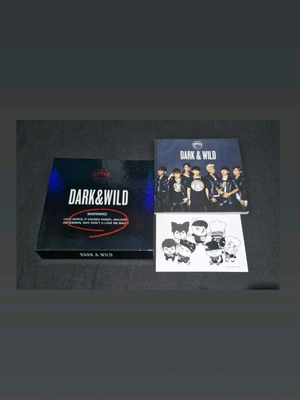BTS Dark & Wild like new
