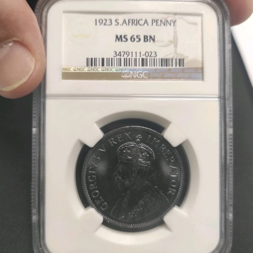 1923 S.Africa Penny MS65 coin new