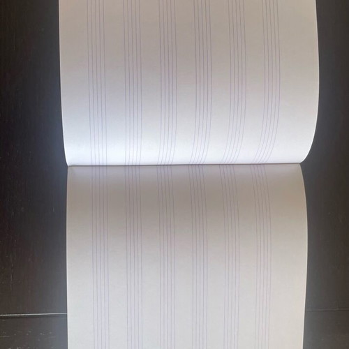 Skag music notebook pentagram new with 40 sheets