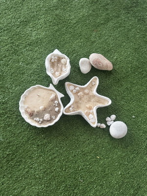 Decorative Seashells new, scented with Pantene mango