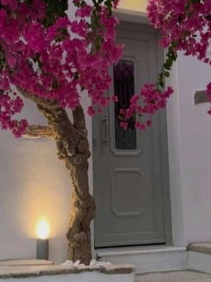 Επιπλωμένο studio με κλιματισμό στον Πρόδρομο Πάρου