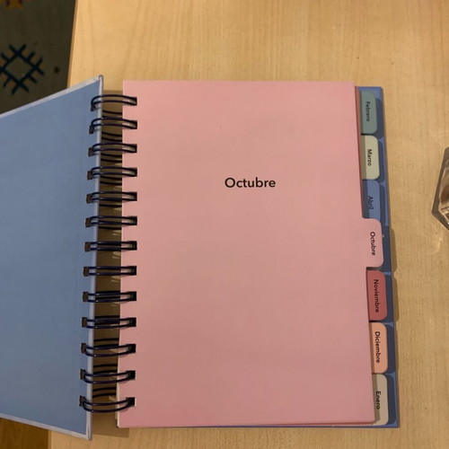 Tiger Agenda Planner like new missing some months and stickers