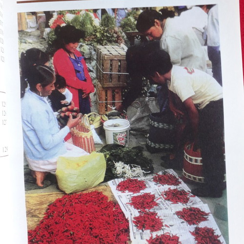My Spices book, cultivation, harvest, use and therapeutic value