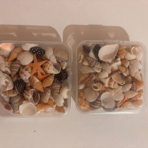 Craft supplies like new, boxes, stickers, decorative flowers and shells