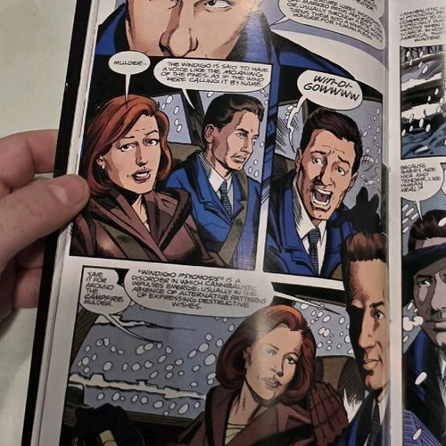 The X-Files Vol 3 used comic English