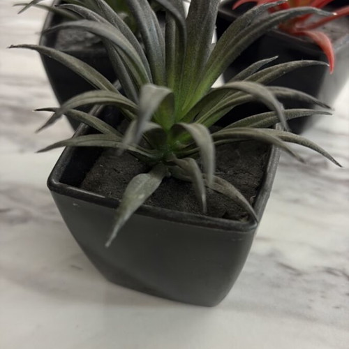 Set of 3 artificial Tillandsia air plants like new in black pots