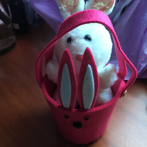Easter basket and plush bunny new