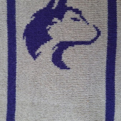Washington Huskies Nike licensed scarf like new