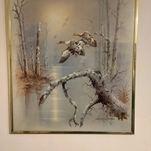 Frame with wild duck poster like new, 50x40 with glass