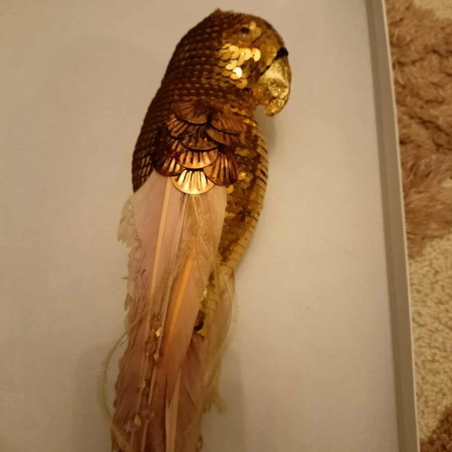 Set of 6 Christmas Parrot Ornaments like new, gold with feathers