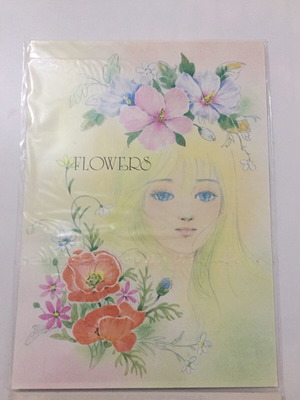 Letter set new, pack with 10 sheets and 5 envelopes