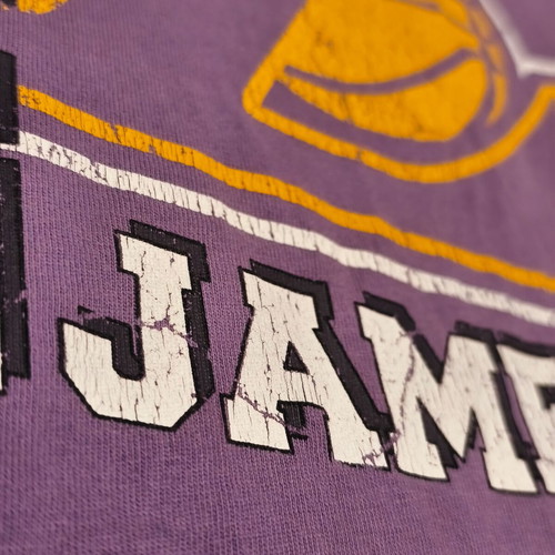 NBA Los Angeles Lakers LeBron James #6 graphic t-shirt used, purple XS