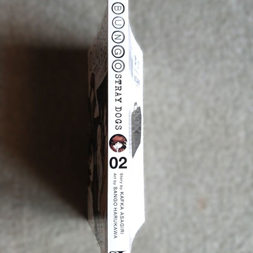 Bungo Stray Dogs Volume 2 manga like new, English edition