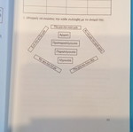 Grammar Book D Primary School A Volume like new