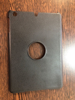 iPad mini case used