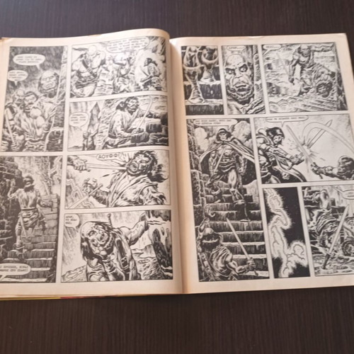 Conan 13 Cobra Press comic used, large format