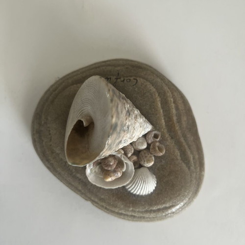 Decorative item with natural materials 12cm x 9cm new