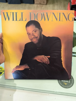 Will Downing vinyl record like new