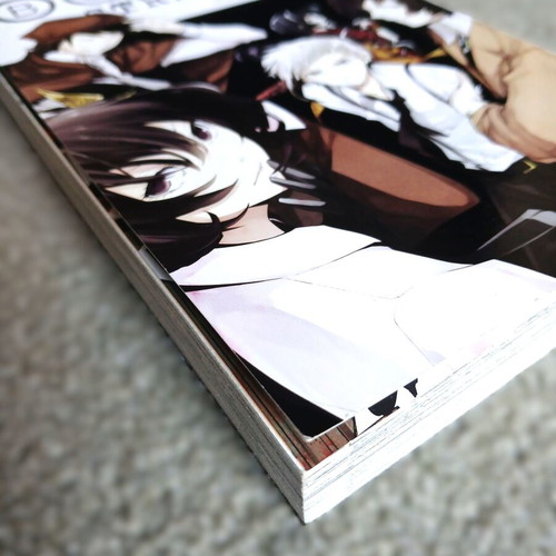 Bungo Stray Dogs Volume 2 manga like new, English edition