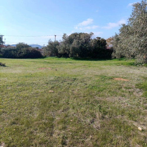 Land plot 9 acres in Vasilika Salamina, buildable, residential area