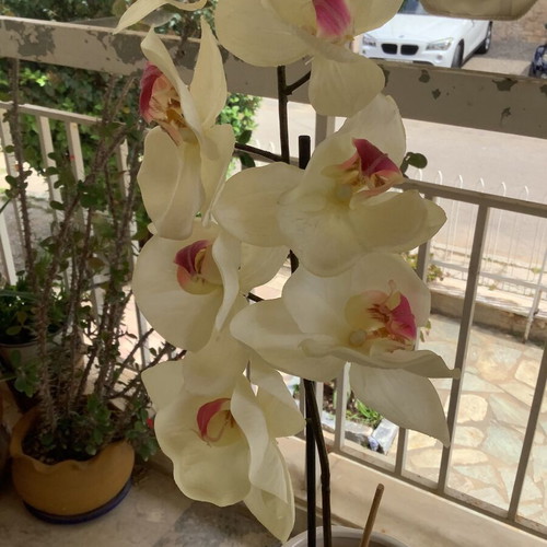 Decorative plastic orchid plant like new